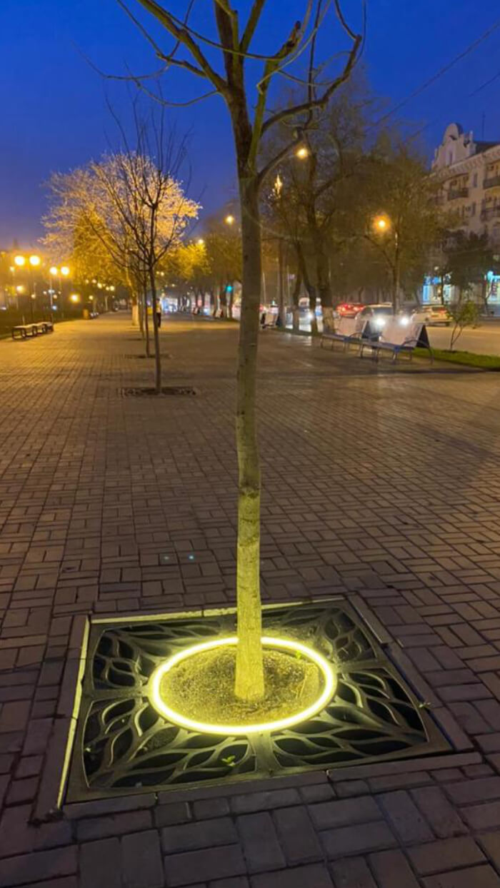 Приствольная решетка для дерева ZKING CRUST 1.2х1.2м Черная в Новомосковске фото